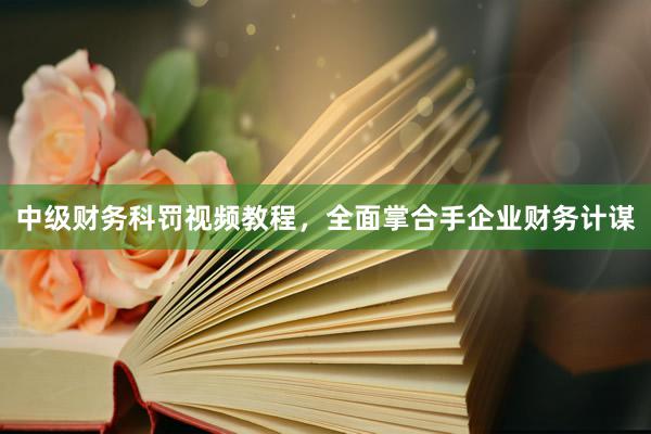 中级财务科罚视频教程，全面掌合手企业财务计谋