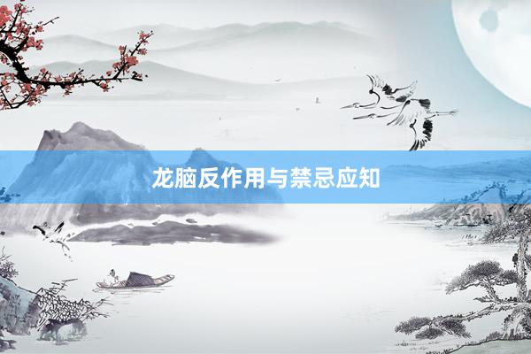 龙脑反作用与禁忌应知